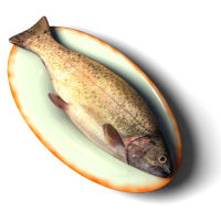 Nosotros Vendemos Pescado Fresco Aquí